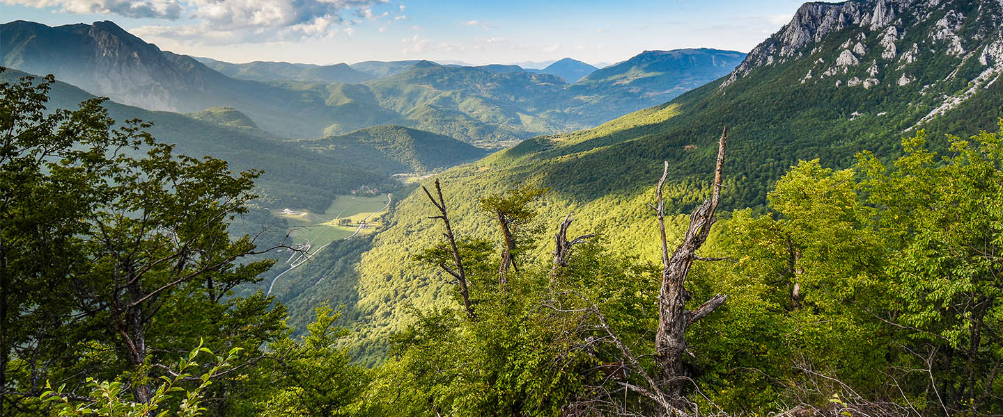 Prašuma Perućica